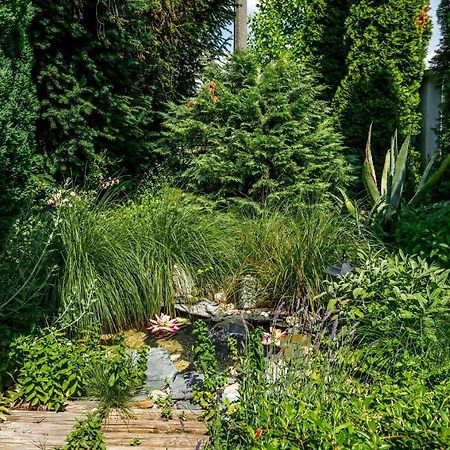 Andi Apartman Heviz Exterior foto