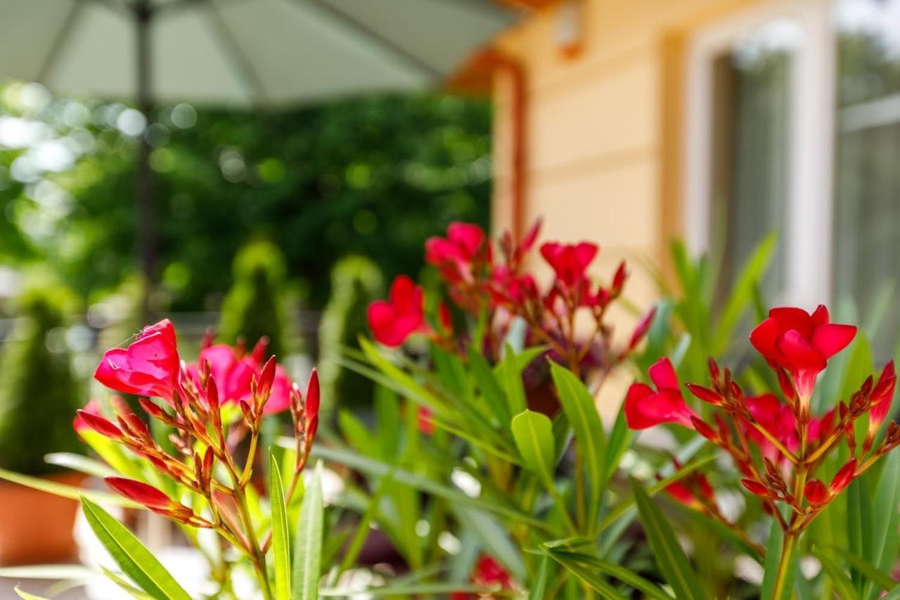 Andi Apartman Heviz Exterior foto